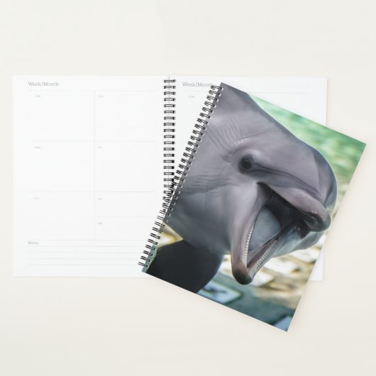 Getty Afbeeldingen | Dolfijnen Planner (Display)
