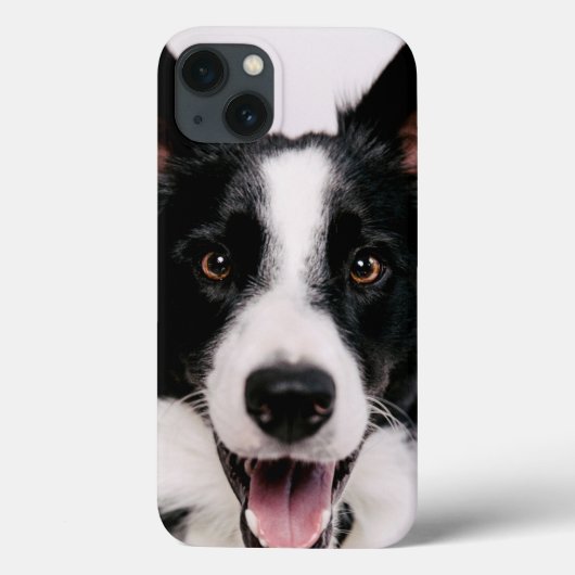 Getty Afbeeldingen | Een glimlach-grenscollie Case-Mate iPhone Case (Achterkant)