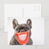 Getty Afbeeldingen | Een glimlende hond Briefkaart (Voorkant / Achterkant)