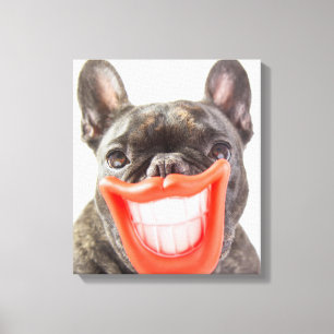 Getty Afbeeldingen   Een glimlende hond Canvas Afdruk