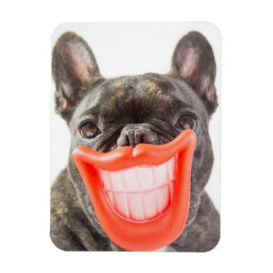 Getty Afbeeldingen Een glimlende hond Magneet