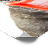 Getty Afbeeldingen | Een glimlende hond Poster (Hoek)