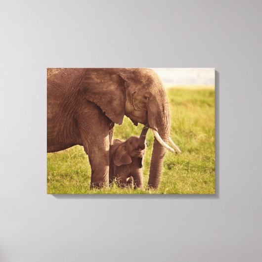Getty Afbeeldingen | Elefant en Baby Canvas Afdruk (Voorkant)