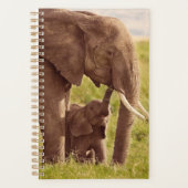 Getty Afbeeldingen | Elefant en Baby Planner (Voorkant)