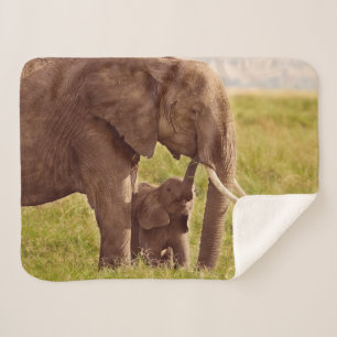 Getty Afbeeldingen   Elefant en Baby Sherpa Deken