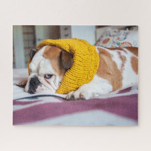 Getty Afbeeldingen | Engelse Bulldog Legpuzzel (Horizontaal)