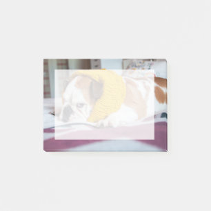Getty Afbeeldingen Engelse Bulldog Post-it® Notes