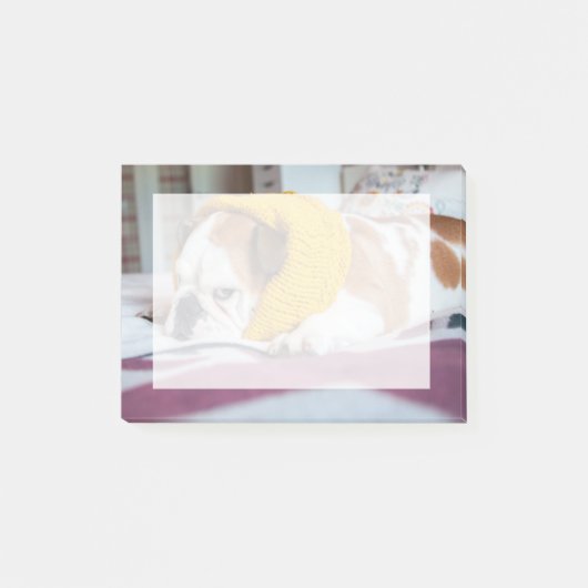 Getty Afbeeldingen | Engelse Bulldog Post-it® Notes (Voorkant)