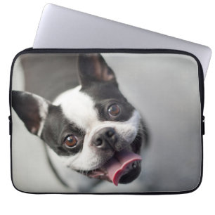 Getty Afbeeldingen   Franse Bulldog Laptop Sleeve