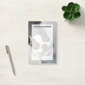 Getty Afbeeldingen | Franse Bulldog Post-it® Notes (Kantoor)
