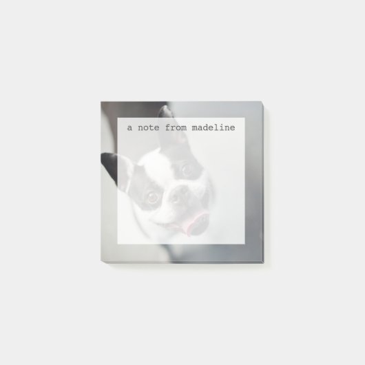 Getty Afbeeldingen | Franse Bulldog Post-it® Notes (Voorkant)