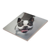 Getty Afbeeldingen | Franse Bulldog Tegeltje (Zijkant)