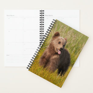Getty Afbeeldingen Funny Baby Beer Planner