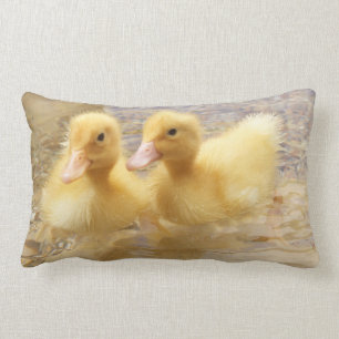 Getty Afbeeldingen Fuzzy Yellow Ducklings Kussen