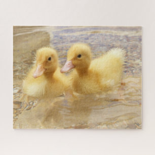 Getty Afbeeldingen Fuzzy Yellow Ducklings Legpuzzel