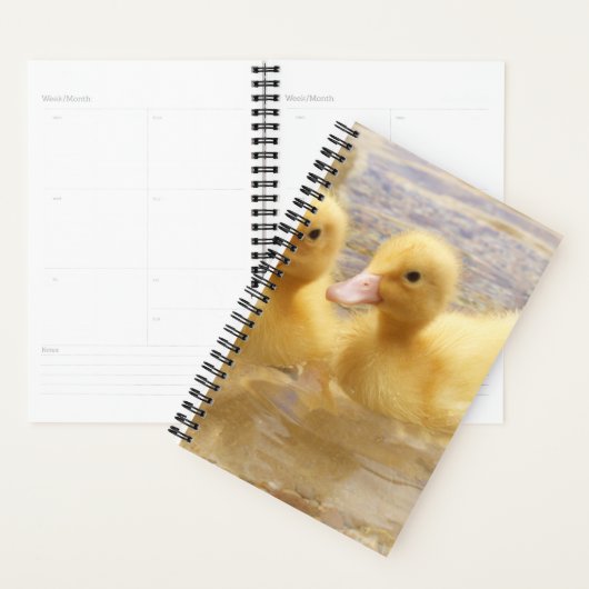 Getty Afbeeldingen | Fuzzy Yellow Ducklings Planner (Display)