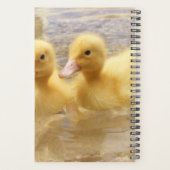 Getty Afbeeldingen | Fuzzy Yellow Ducklings Planner (Achterkant)