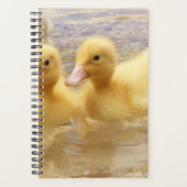 Getty Afbeeldingen | Fuzzy Yellow Ducklings Planner (Voorkant)