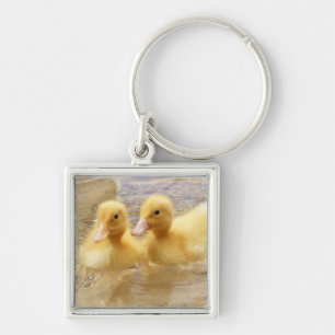 Getty Afbeeldingen   Fuzzy Yellow Ducklings Sleutelhanger