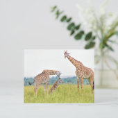 Getty Afbeeldingen | GIRAFFE Briefkaart (Staand voorkant)