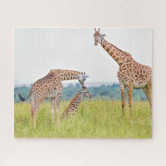 Getty Afbeeldingen | Giraffe Legpuzzel (Horizontaal)