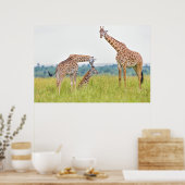 Getty Afbeeldingen | GIRAFFE Poster (Keuken)
