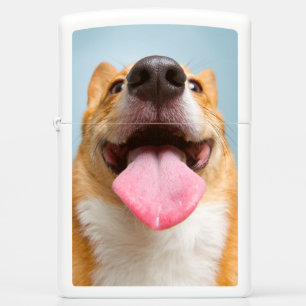 Getty Afbeeldingen   Heel Happy Corgi