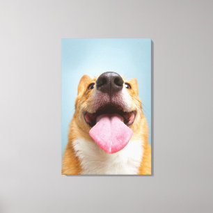 Getty Afbeeldingen   Heel Happy Corgi Canvas Afdruk