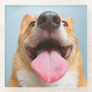 Getty Afbeeldingen Heel Happy Corgi Glazen Onderzetter