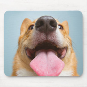 Getty Afbeeldingen   Heel Happy Corgi Muismat