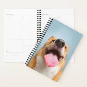 Getty Afbeeldingen Heel Happy Corgi Planner