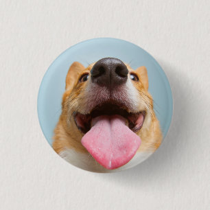 Getty Afbeeldingen Heel Happy Corgi Ronde Button 3,2 Cm
