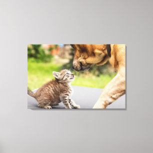 Getty Afbeeldingen Hond en kat in liefde Canvas Afdruk