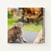 Getty Afbeeldingen | Hond en kat in liefde Notitieboek (Achterkant)