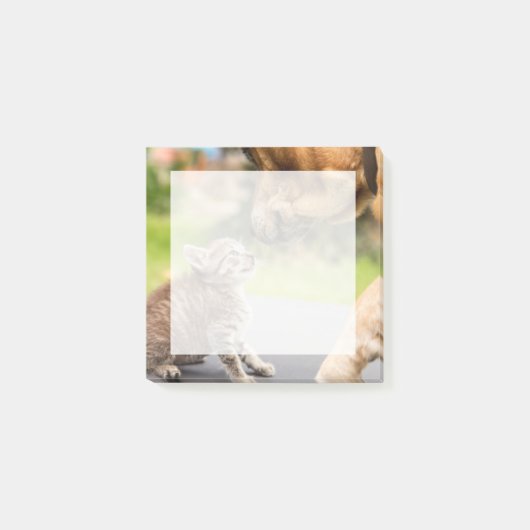 Getty Afbeeldingen | Hond en kat in liefde Post-it® Notes (Voorkant)