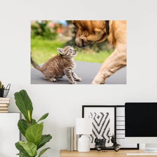 Getty Afbeeldingen | Hond en kat in liefde Poster (Thuiskantoor)