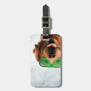 Getty Afbeeldingen Hond met bril Bagagelabel