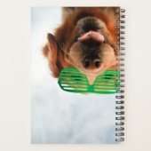 Getty Afbeeldingen | Hond met bril Planner (Achterkant)