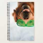 Getty Afbeeldingen | Hond met bril Planner (Voorkant)