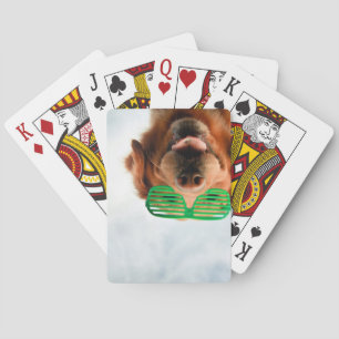 Getty Afbeeldingen Hond met bril Speelkaarten