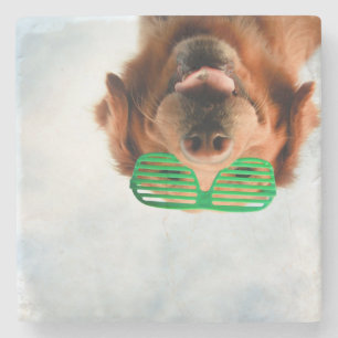Getty Afbeeldingen Hond met bril Stenen Onderzetter