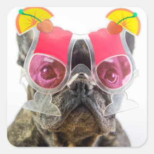 Getty Afbeeldingen   Hond met cocktailglazen Vierkante Sticker