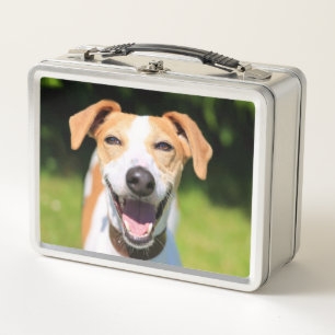 Getty Afbeeldingen Laughing Dog