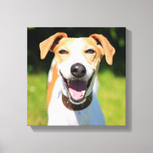 Getty Afbeeldingen Laughing Dog Canvas Afdruk