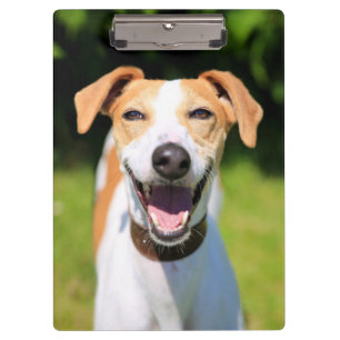 Getty Afbeeldingen Laughing Dog Klembord