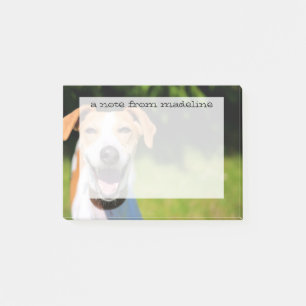 Getty Afbeeldingen   Laughing Dog Post-it® Notes