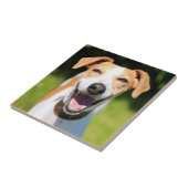 Getty Afbeeldingen | Laughing Dog Tegeltje (Zijkant)