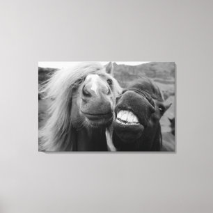 Getty Afbeeldingen   Melkpaarden Canvas Afdruk
