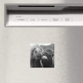 Getty Afbeeldingen | Melkpaarden Magneet (Insitu (Vaatwasser))