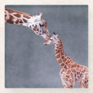 Getty Afbeeldingen   Moeder en Baby Giraffe Glazen Onderzetter